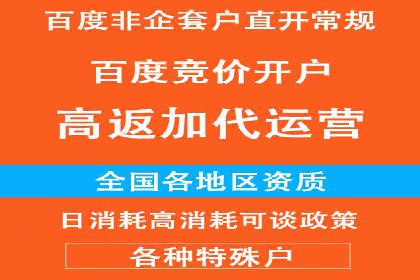 某电商平台的SEM运营实战与效果分析